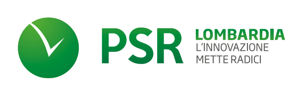 logo PSR